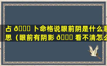 占 💐 卜命格说眼前阴是什么意思（眼前有阴影 💐 看不清怎么治疗）